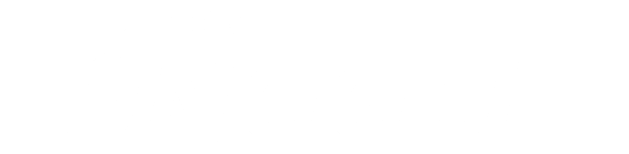 Logo Unggul Universitas Bung Hatta