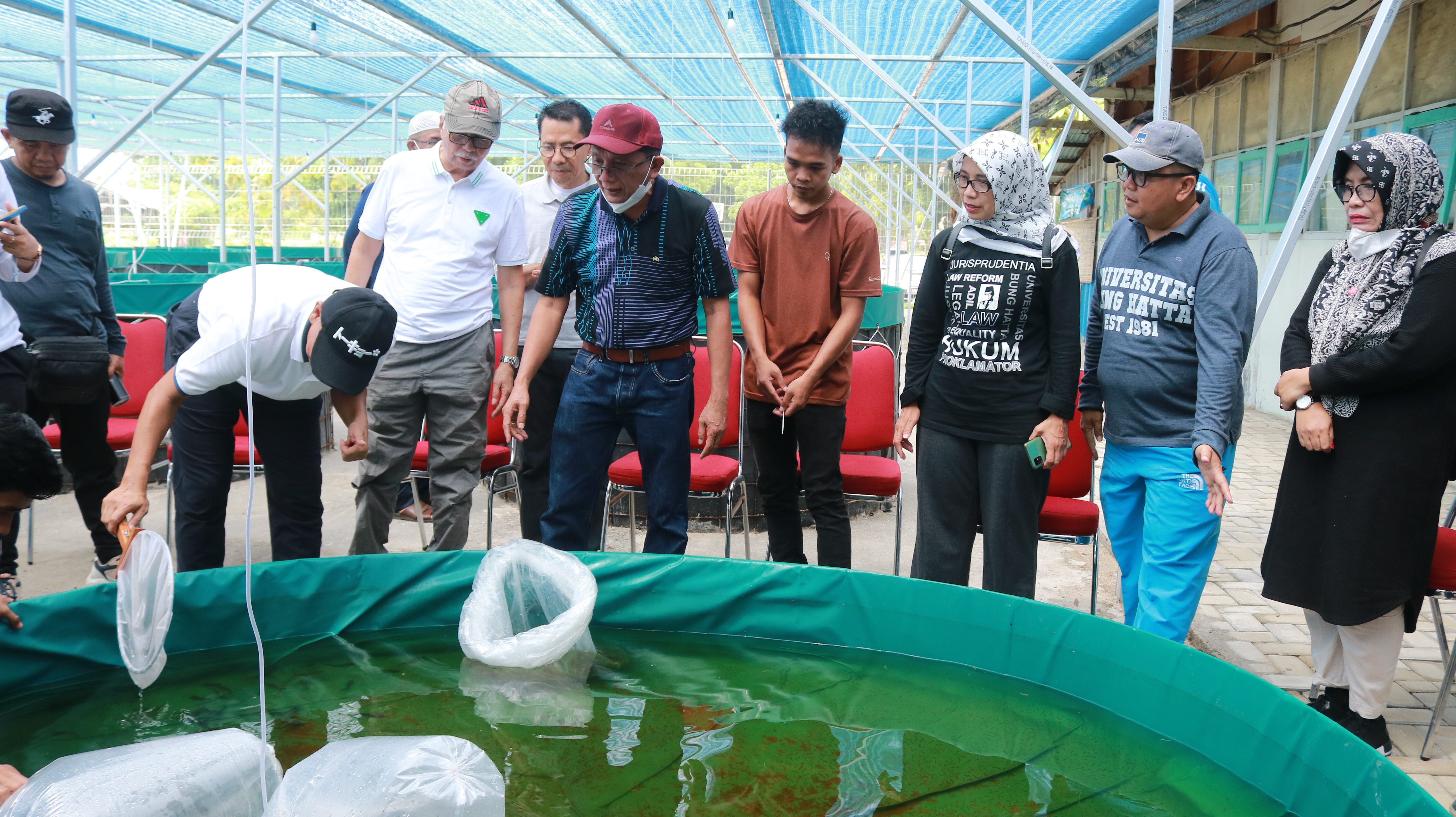Perkuat SDA, Universitas Bung Hatta Semai Bibit Ikan Lele di Fakultas Perikanan dan Ilmu Kelautan