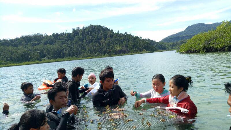 diving_proklamator_universitas_bung_hatta:_transplantasi_lamun_sebagai_bagian_atraksi_wisata_bahari