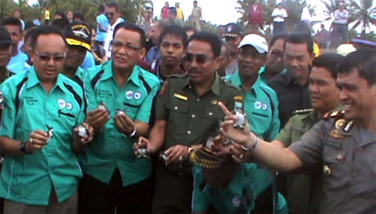 mitra_bahari_rc_sumbar:_hijaukan_pantai,_300_penyu_pun_di_lepas.