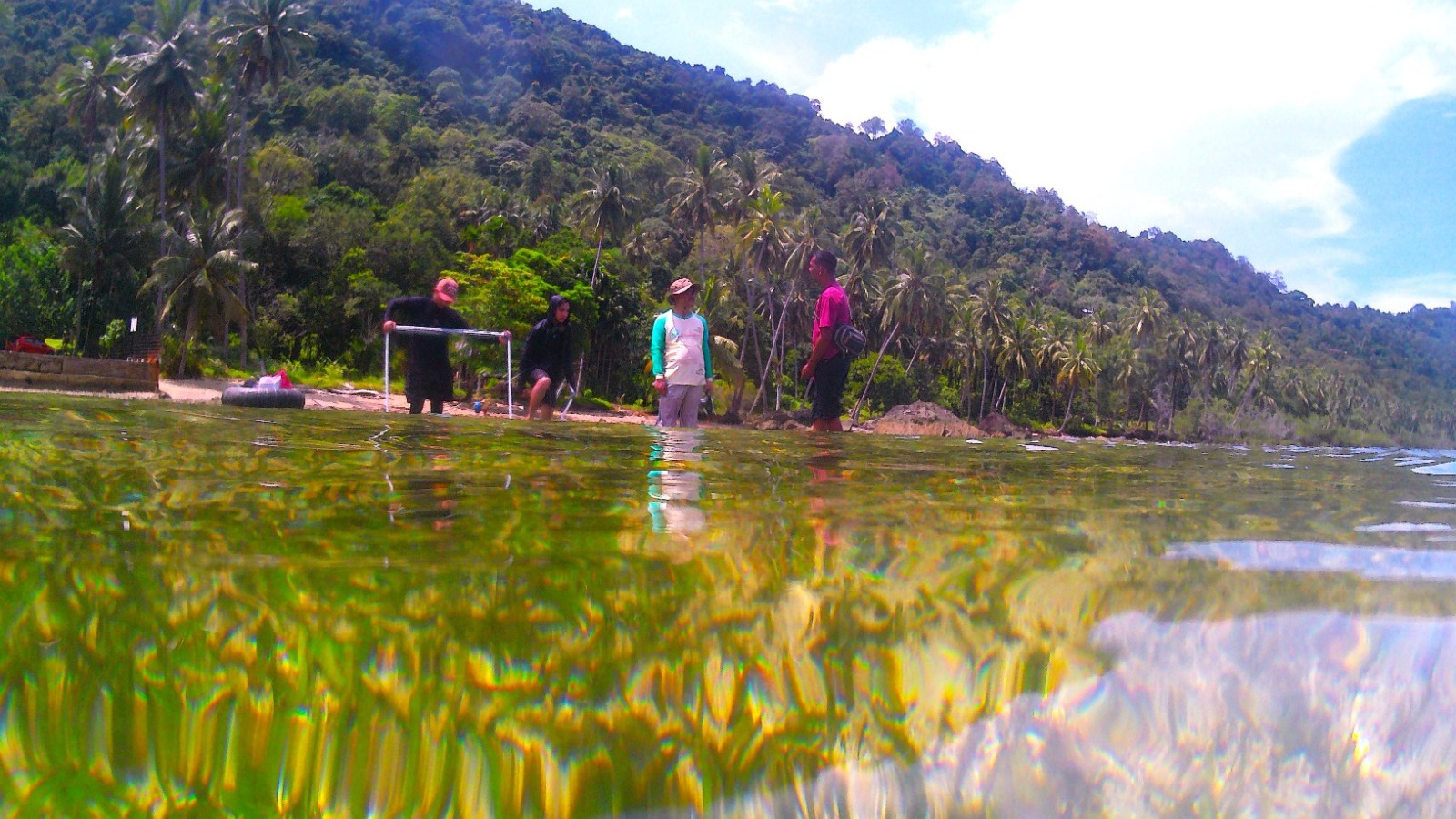 Tim Peneliti FPIK Universitas Bung Hatta Kaji Indek Kesehatan Ekosistem Lamun (Seagrass)  Perairan Sumbar