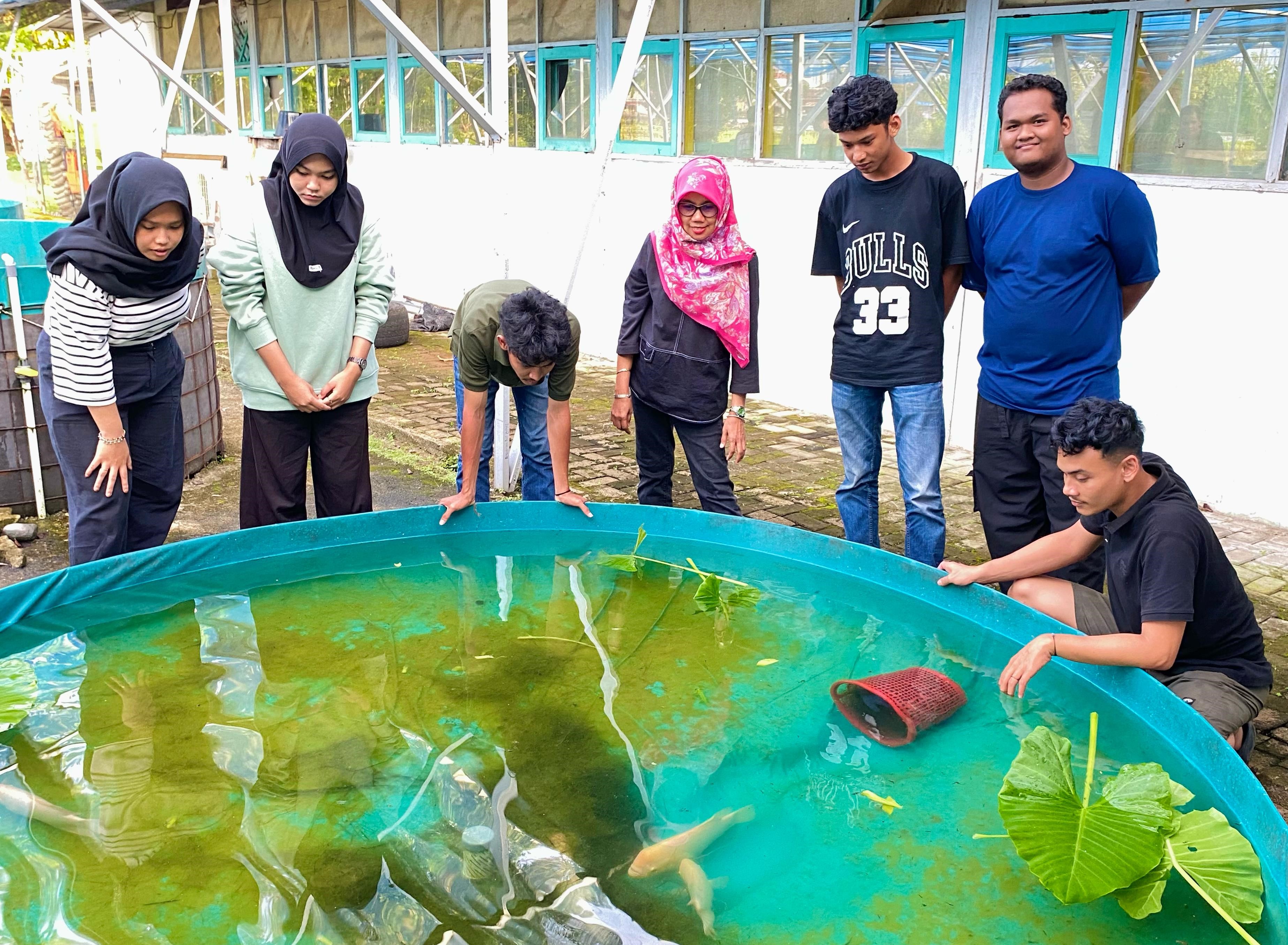Mahasiswa Prodi Budidaya Perairan FPIK, Berhasil Produksi Massal Benih Ikan Garing dan Gurami Sago