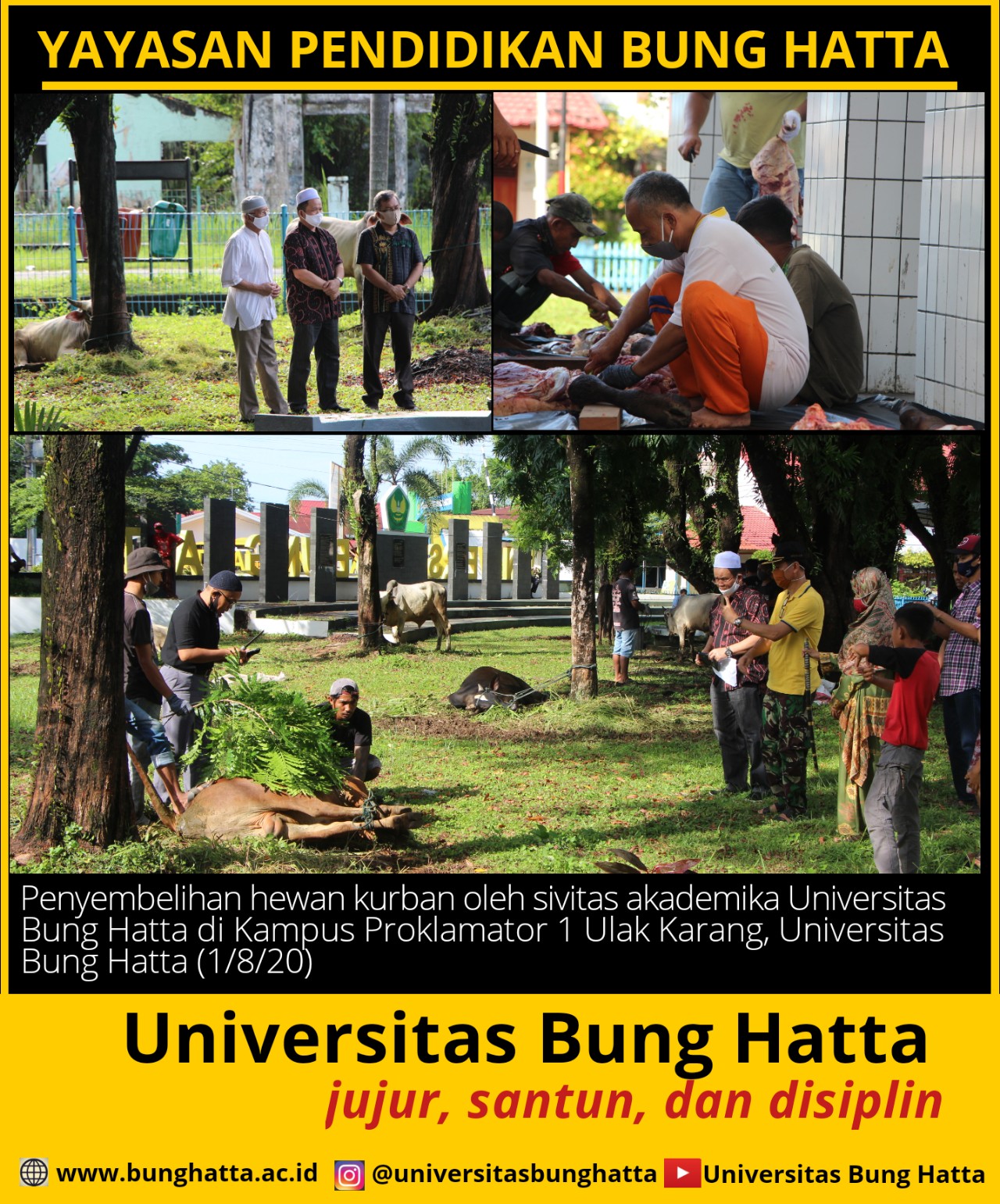 Perayaan Idul Adha 1441 H, Sivitas Akademika Universitas Bung Hatta Kurbankan 9 Sapi