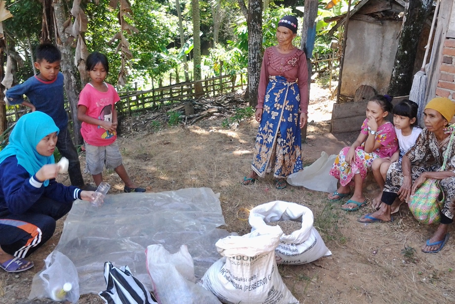 Mahasiiswa KKN-PPM UBH Beri Penyuluhan Pembuatan Pupuk Kompos Sekam Padi di Nagari Saruaso