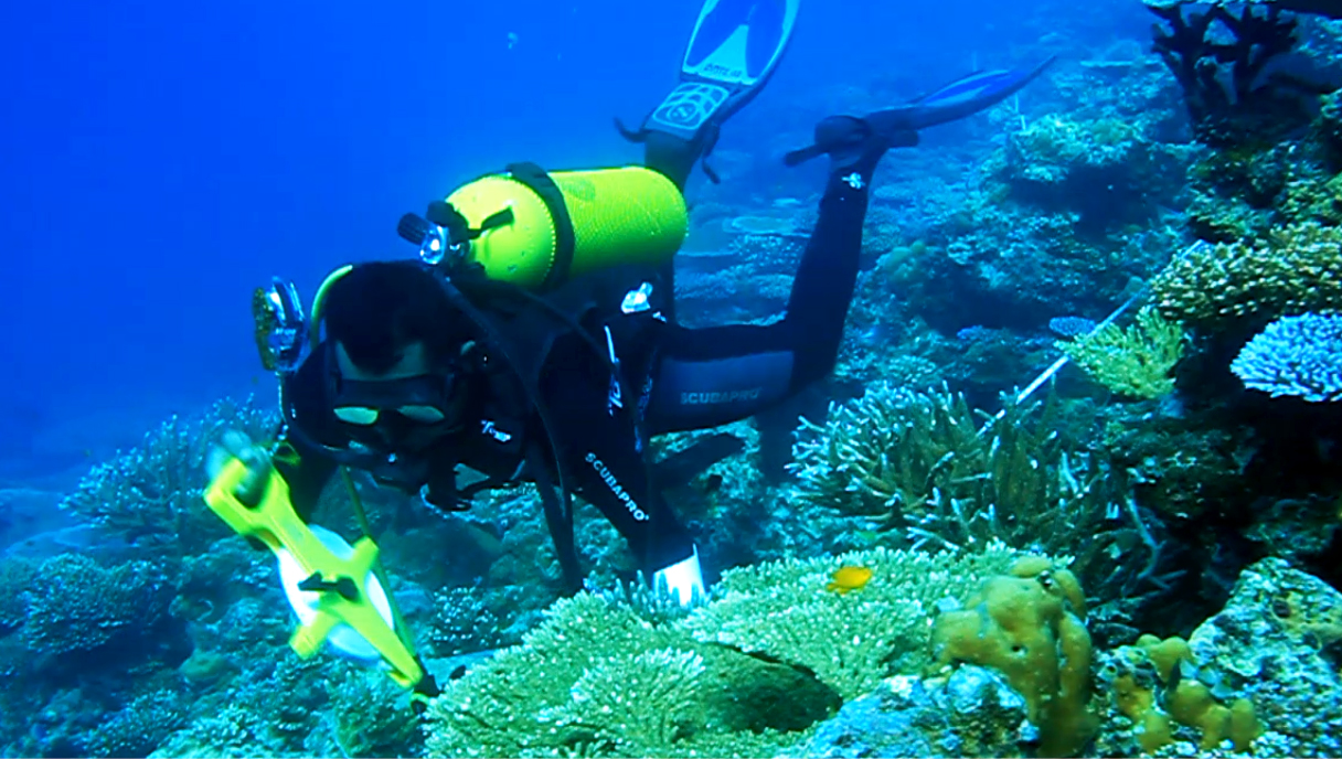 LIPI dan FPIK-UBH akan Perbaharui Data Kondisi Terumbu Karang Mentawai