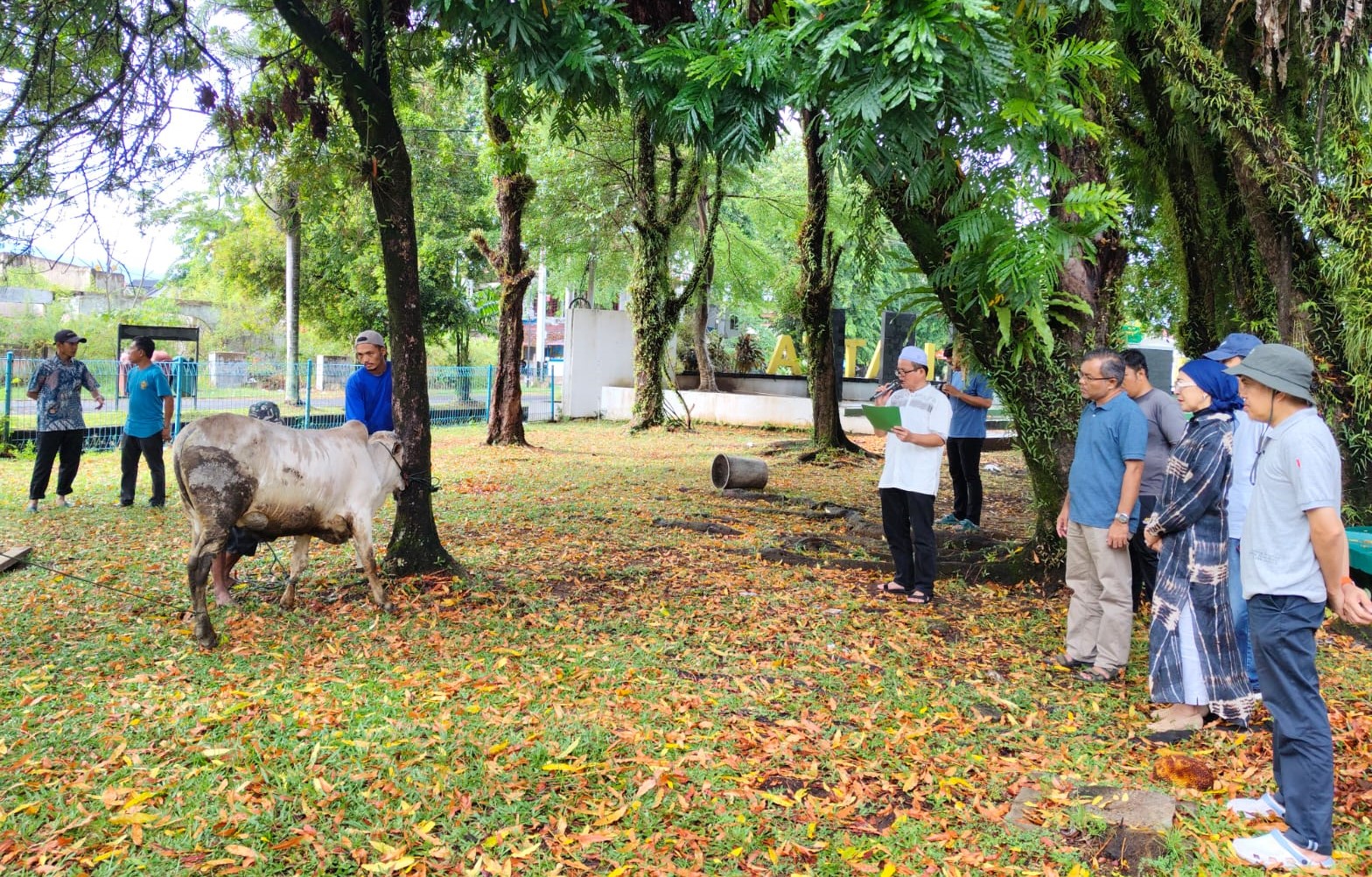 Berkah Idul Adha, Sivitas Akademika Universitas Bung Hatta Distribusikan Daging Dari 14 Hewan Kurban