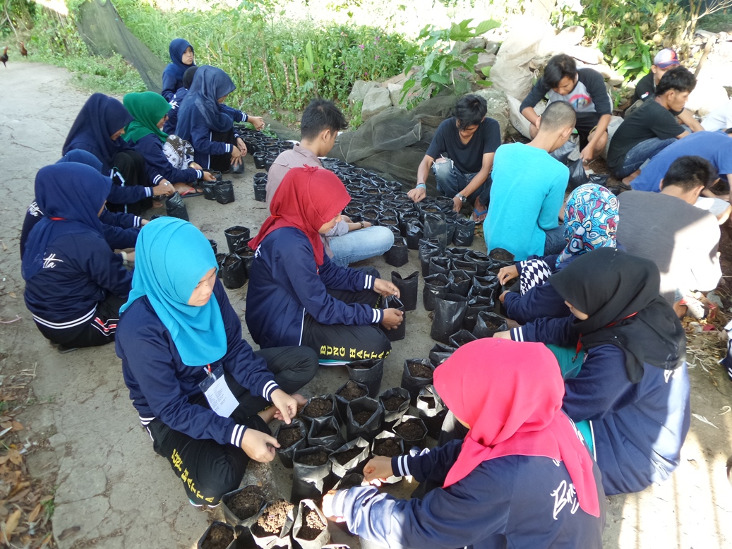 Mahasiswa KKN-PPM UBH Berdayakan Masyarakat Lewat Budidaya Pepaya Madu