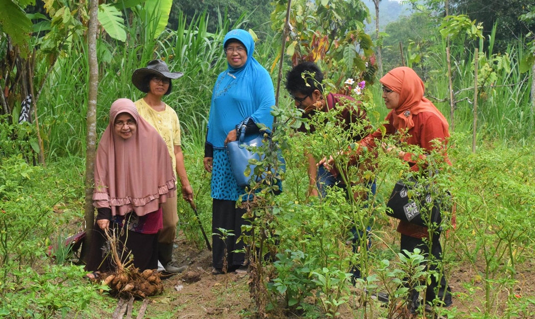 Dosen Teknik Kimia Universitas Bung Hatta Terus Teliti Potensi Umbi Dahlia